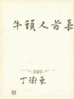 牛头人酋长战斧