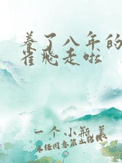 养了八年的金丝雀飞走啦