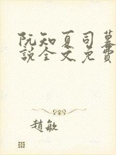 阮知夏司暮寒小说全文免费