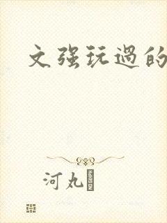 文强玩过的女人