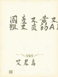 国产又黄又猛又粗又爽的A片小说