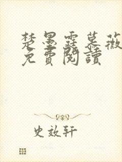 楚墨霆慕薇小说免费阅读