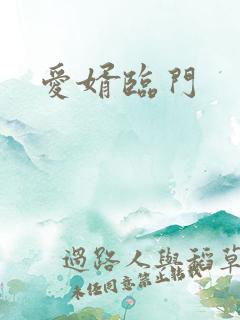 爱婿临门