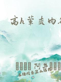 高h荤爽肉欲文
