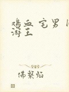 鸡血 宅男 网游王