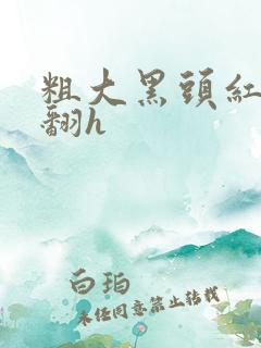 粗大黑头红肿外翻h