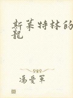 斯莱特林的铂金龙