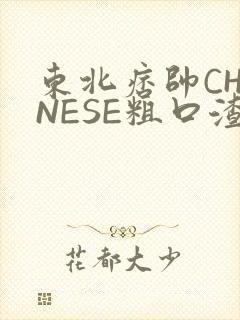 东北痞帅CHINESE粗口渣男