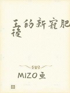 王的新宠肥婆皇后