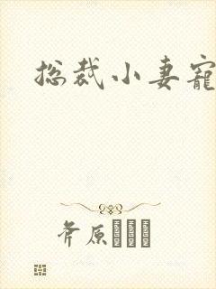 总裁小妻宠上天