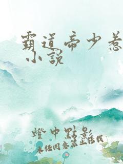 霸道帝少惹不得 小说