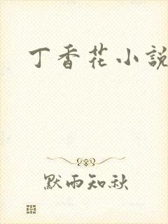 丁香花小说