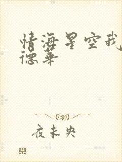 情海星空我与刘德华