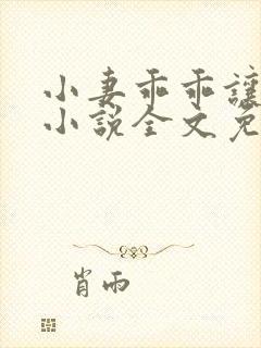 小妻乖乖让我宠小说全文免费阅读