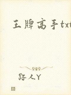 王牌高手txt