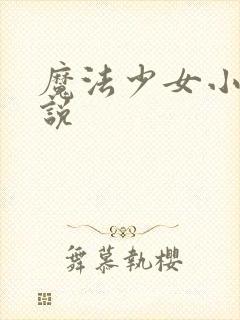 魔法少女小圆小说
