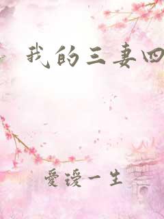 我的三妻四妾