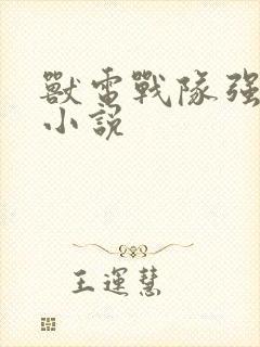 兽电战队强龙者小说