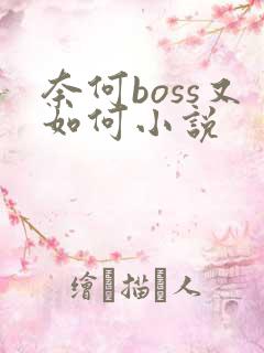 奈何boss又如何小说