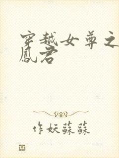 穿越女尊之吾为凤君