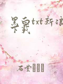黑白txt新浪下载