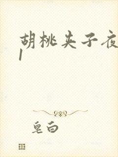 胡桃夹子夜未眠1