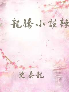 龙腾小说辣文网