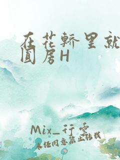 在花轿里就开始圆房H