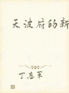 天波府的新姑爷