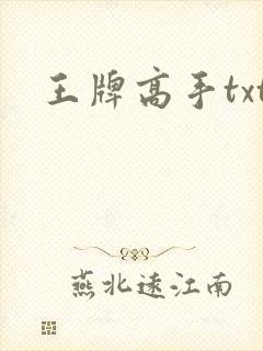 王牌高手txt