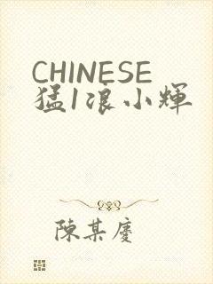CHINESE猛1浪小辉