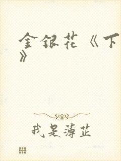 金银花《下厨房》