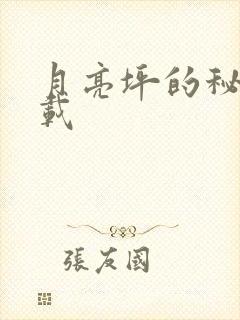 月亮坪的秘密下载