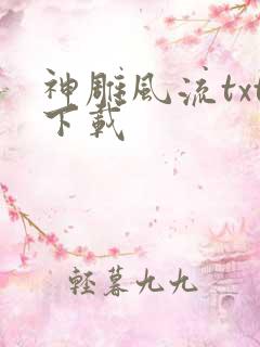 神雕风流txt下载