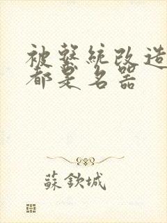 被系统改造全身都是名器