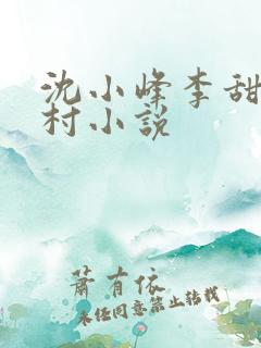 沈小峰李甜的乡村小说