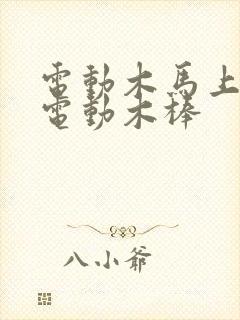 电动木马上两个电动木棒