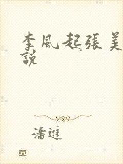 李风起张美丽小说