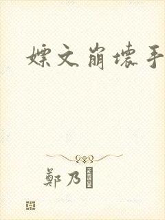 嫖文崩坏手册