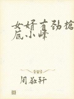 女婿有劲枪枪到底小峰