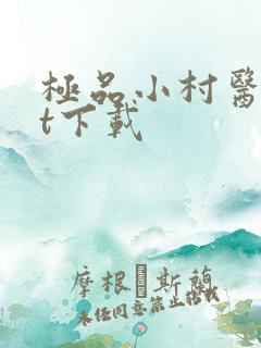 极品小村医txt下载