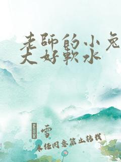 老师的小兔子好大好软水