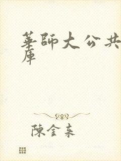 华师大公共数据库