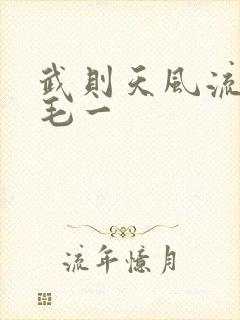 武则天风流艳情毛一