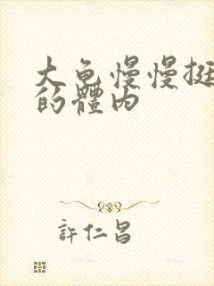 大龟慢慢挺进我的体内