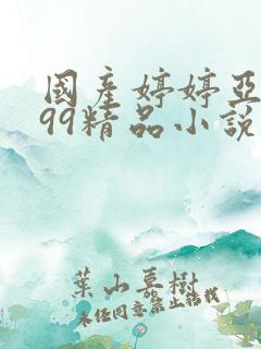 国产婷婷亚洲999精品小说