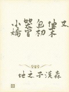 小哭包他又软又娇曾初末
