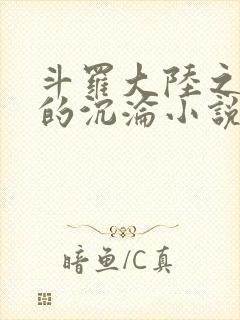 斗罗大陆之众女的沉沦小说