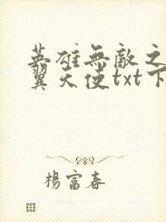 英雄无敌之十二翼天使txt下载