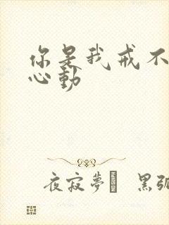 你是我戒不掉的心动